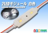 SAMSUNG 2LEDモジュール 白色