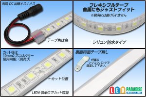 画像2: 24VテープLED60LED/mシリコン防水 白色 10m