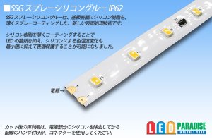 画像5: 24V SSG 2835テープLED 60LED/m 6200K 10m/20m