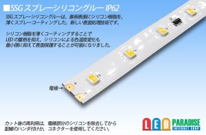 画像5: 24V SSG 2835テープLED 60LED/m 6200K 10m/20m