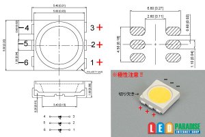 画像2: Ra95+ 超高演色5060 3chipLED 昼光色