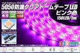 5050テープLED 30LED/m クリアドーム ピンク色 5m