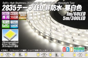 画像1: 超高演色2835テープLED 60LED/m 非防水 昼白色 5000K 1-5m