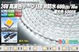 24VテープLED 60LED/m 非防水 昼光色 6000K 10m
