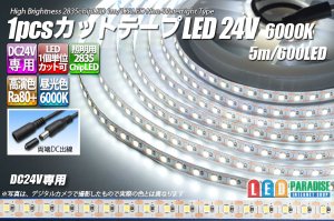 画像1: 1pcsカットテープLED 24V 6000K 5m/600LED 非防水