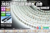 2835テープLED 非防水 白色 5m/600LED