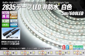 画像1: 2835テープLED 非防水 白色 5m/600LED