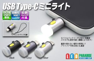 画像1: USB Type-C ミニライト