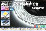 3528テープLED 120LED/m 非防水 白色 5m