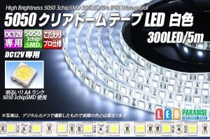 画像1: 5050テープLED 60LED/m クリアドーム 白色 5m