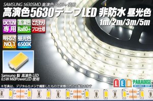 画像1: 高演色5630テープLED 60LED/m 非防水 昼光色 6500K 1-5m