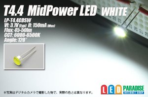 画像1: T4.4 MidPowerLED 白色 LP-T4.4CDSW