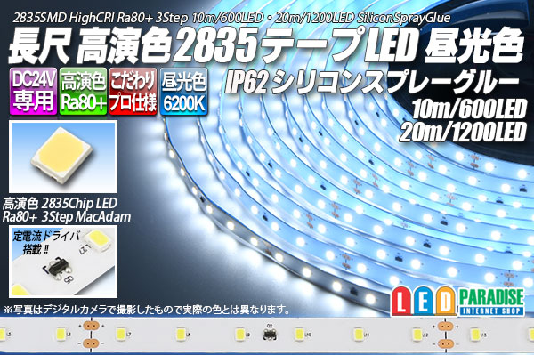 24V SSG 2835テープLED 60LED/m 6200K 10m/20m - LED PARADISE☆エルパラ
