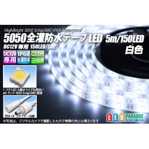 画像: 全灌防水テープLED 30LED/m IP68 白色 5m