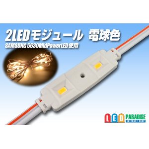 画像: SAMSUNG 2LEDモジュール 電球色