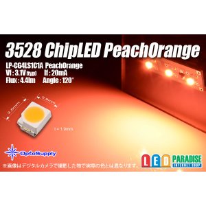 画像: 3528 PeachOrange LP-CG4LS1C1A