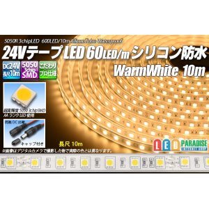 画像: 24VテープLED60LED/mシリコン防水 電球色 10m