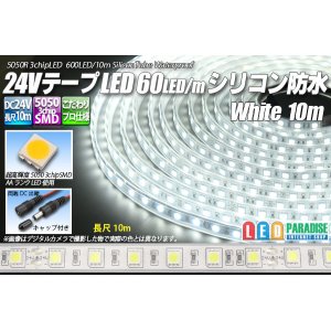 画像: 24VテープLED60LED/mシリコン防水 白色 10m