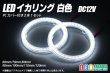 画像1: LED イカリング 白色