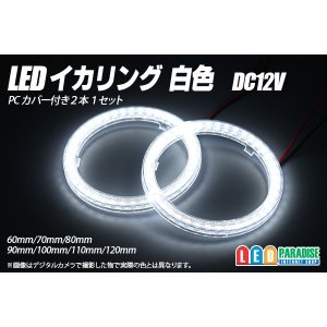 画像: LED イカリング 白色