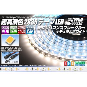 画像: SSG Ra90+ 2835テープLED 60LED/m 4300K 1-5m