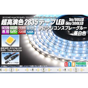 画像: SSG Ra90+ 2835テープLED 60LED/m 5200K 1-5m