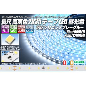 画像: 24V SSG 2835テープLED 60LED/m 6200K 10m/20m