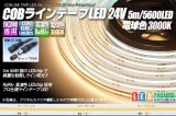 画像: COBラインテープLED 24V 5m 電球色3000K　高演色Ra90+