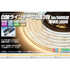 画像: COBラインテープLED 24V 5m 電球色3000K　高演色Ra90+