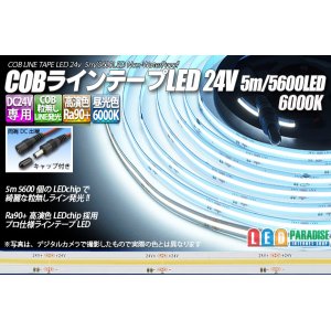 画像: COBラインテープLED 24V 5m 昼光色6000K　高演色Ra90+