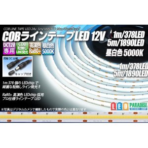 画像: COBラインテープLED 12V 5000K 1m-5m 高演色Ra80+