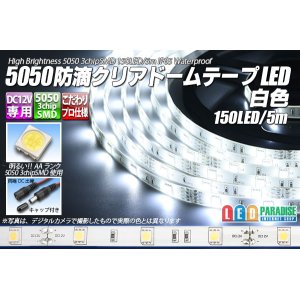 画像: 5050テープLED 30LED/m クリアドーム 白色 5m