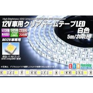 画像: 12V車用クリアドームテープLED 白色 5m/300LED