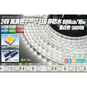 画像: 24VテープLED 60LED/m 非防水 昼白色 5000K 10m