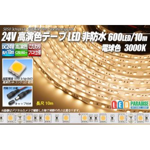 画像: 24VテープLED 60LED/m 非防水 電球色 3000K 10m