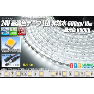 画像: 24VテープLED 60LED/m 非防水 昼光色 6000K 10m