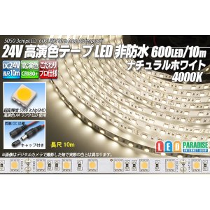 画像: 24VテープLED 60LED/m 非防水 ナチュラルホワイト 4000K 10m