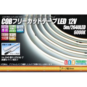 画像: COBフリーカットテープLED 12V 6000K 2640LED/5m