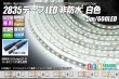 画像1: 2835テープLED 非防水 白色 5m/600LED