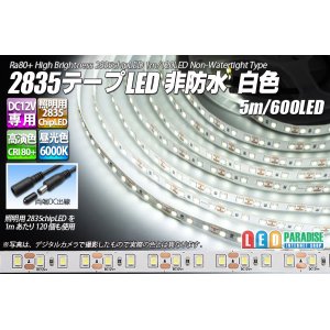 画像: 2835テープLED 非防水 白色 5m/600LED
