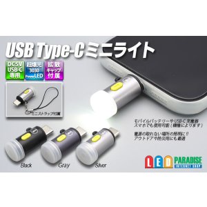 画像: USB Type-C ミニライト