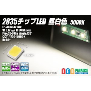 画像: 2835チップLED 昼白色 5000K