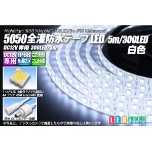 画像: 全灌防水テープLED 60LED/m IP68 白色 1-5m