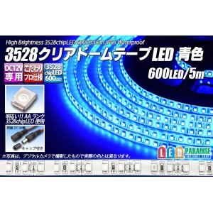 画像: 3528テープLED 120LED/m クリアドーム 青色 5m