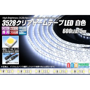 画像: 3528テープLED 120LED/m クリアドーム 白色 5m