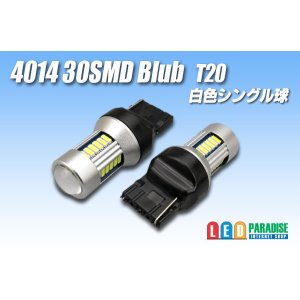 画像: 4014 30SMD T20シングルバルブ 白色