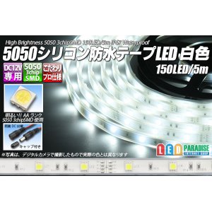 画像: 5050テープLED 30LED/m シリコン防水 白色 5m