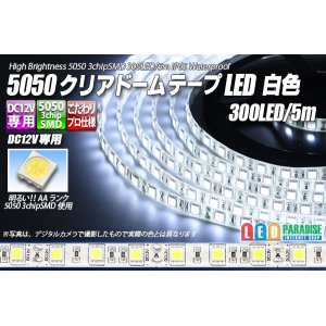 画像: 5050テープLED 60LED/m クリアドーム 白色 5m