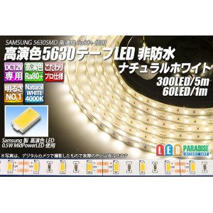 画像: 高演色5630テープLED 60LED/m 非防水 ナチュラルホワイト 4000K 1-5m