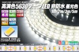 画像: 高演色5630テープLED 60LED/m 非防水 昼光色 6500K 1-5m